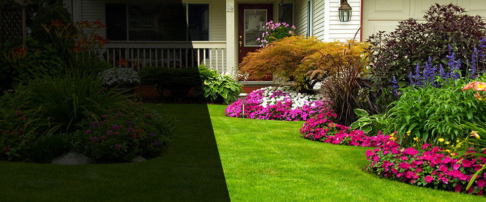 Myrtle Beach Landscapers