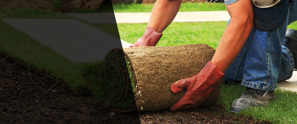 Myrtle Beach Landscapers